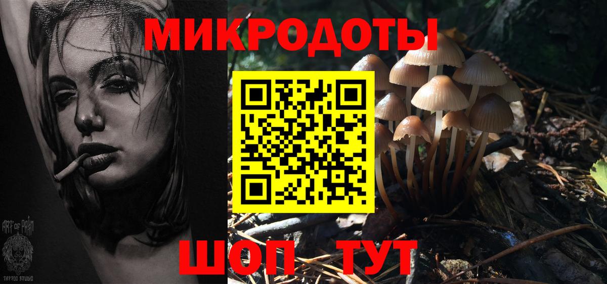 Псилоцибиновые грибы мухоморы Великие Луки